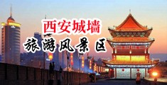 美女日逼逼黄片中国陕西-西安城墙旅游风景区